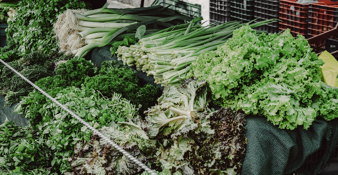 قريبا اخبار دواجن اطايب